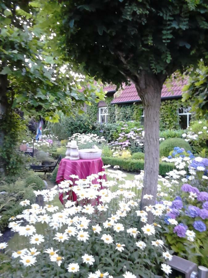 Ferienhaus Zaunkoenig Eversmeer Εξωτερικό φωτογραφία